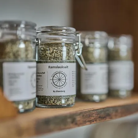 Stangeland Gard Hotell *